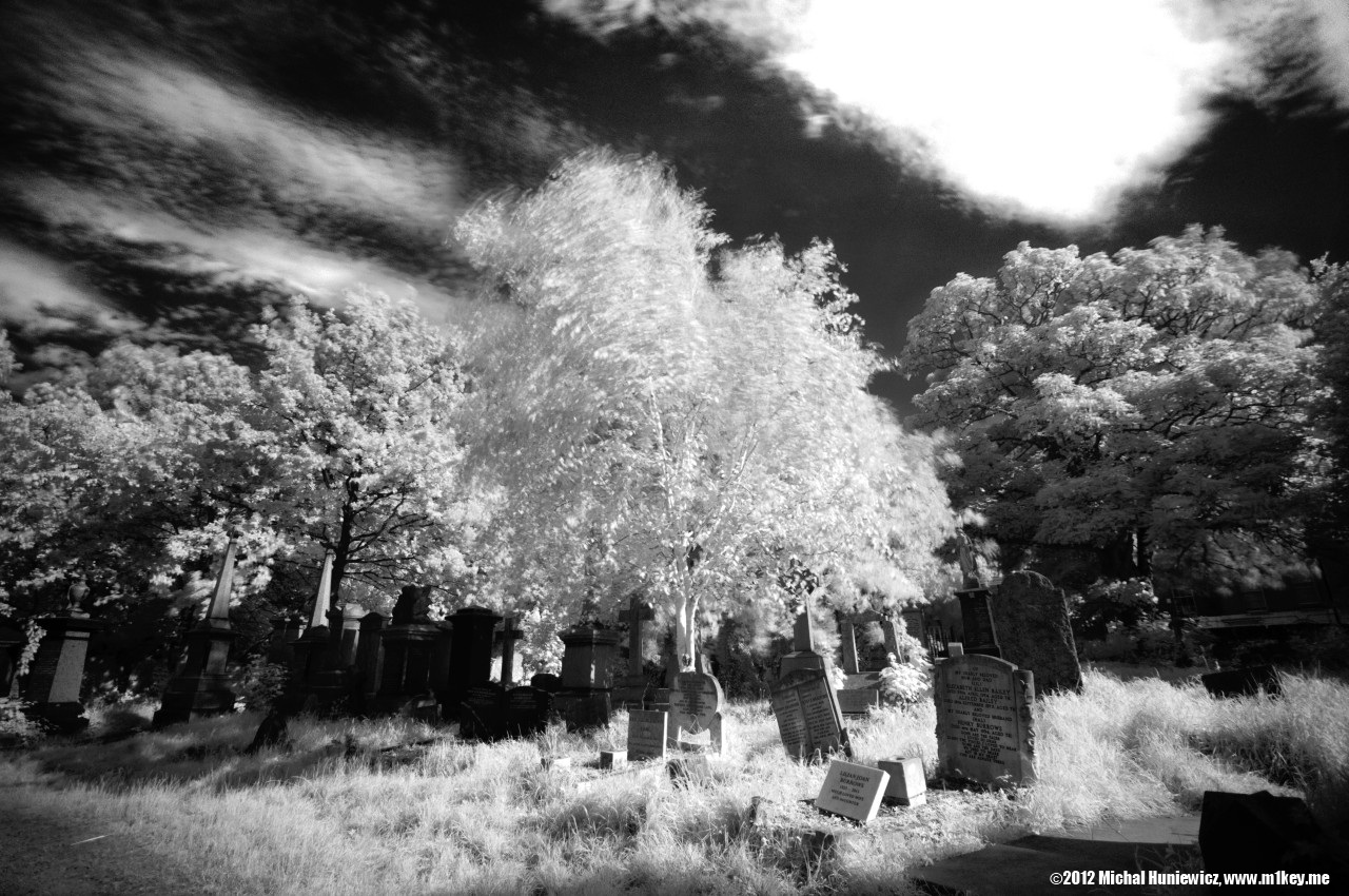 Abney Park Cemetery