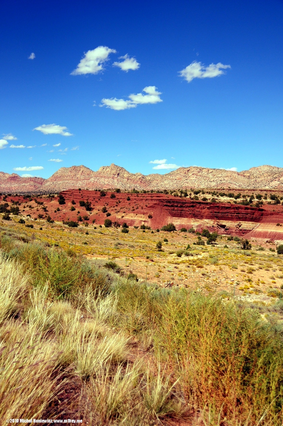 View - Arizona 2010