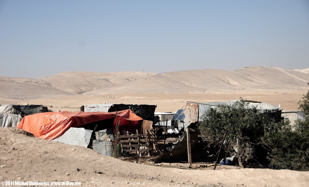 Alsra - The Bedouin