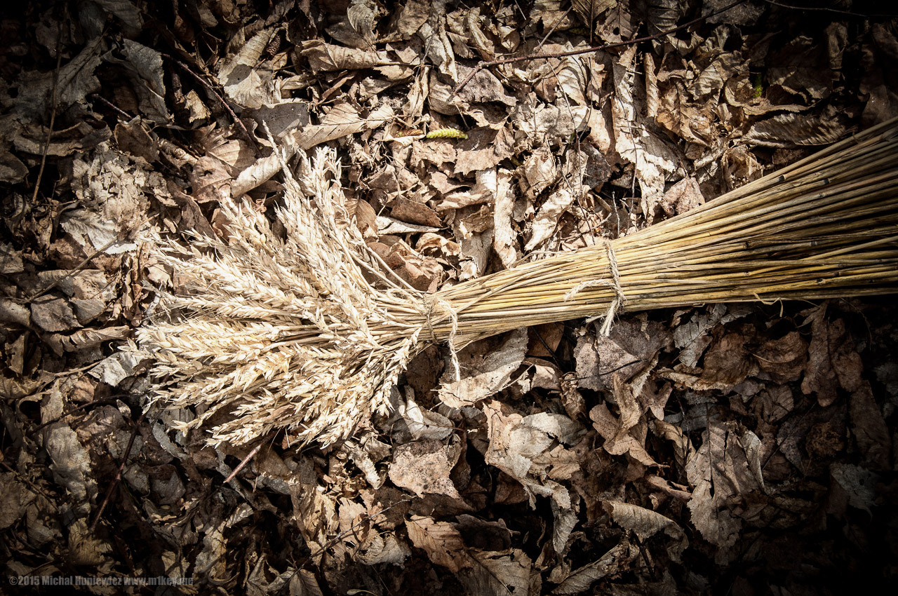 Sheaf of Wheat