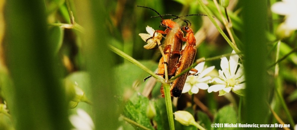 Trust me, no one can see us here...