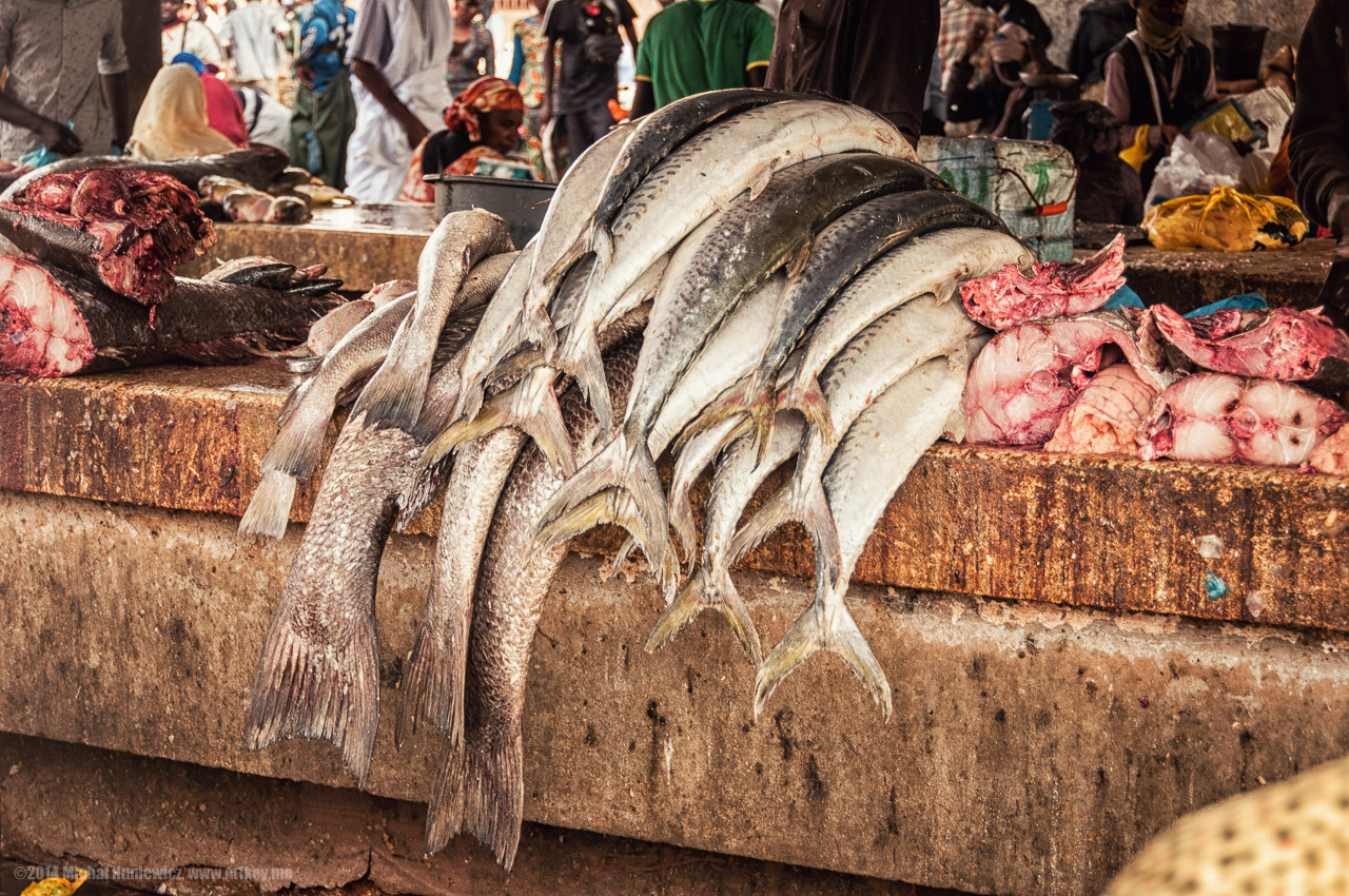 Fish in the Market
