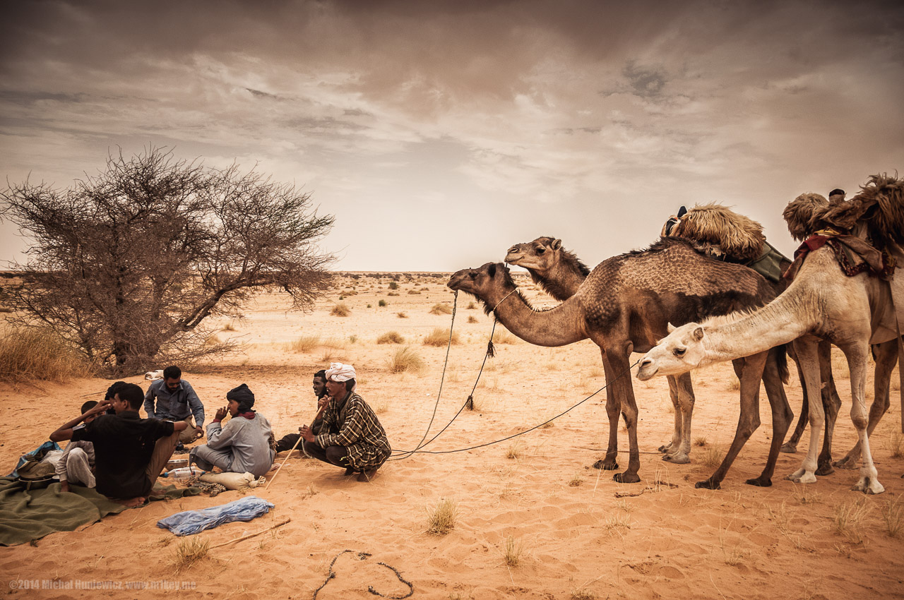 Men and Their Camels