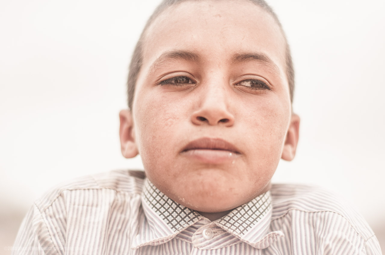 Elegant in the Desert