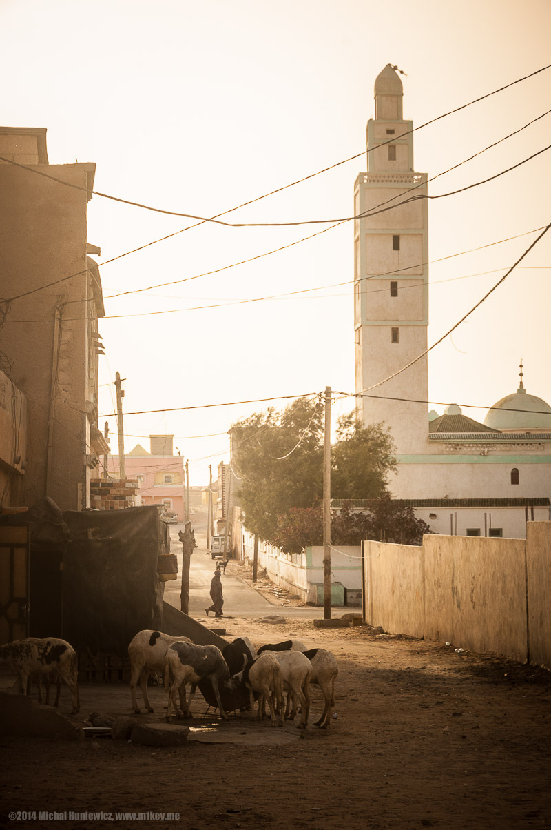 Morning in Nouadhibou