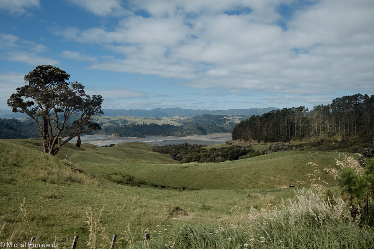 Manaia Road Saddle and Lookout