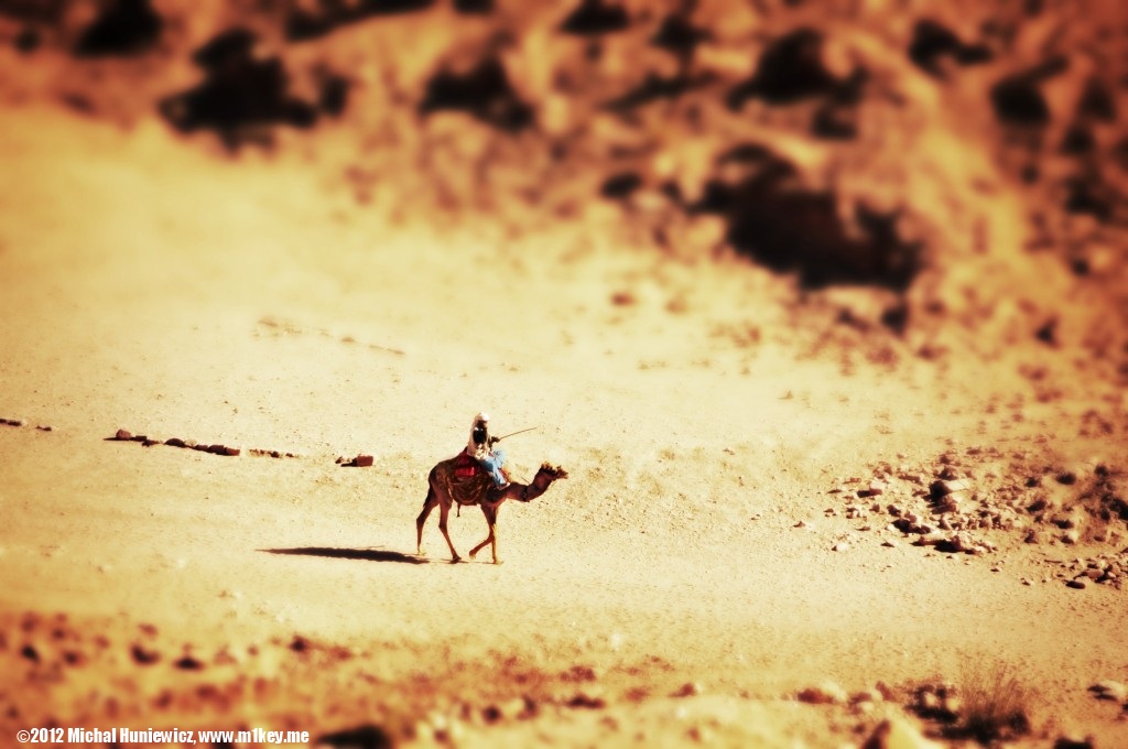 Camel - Petra: Part 2