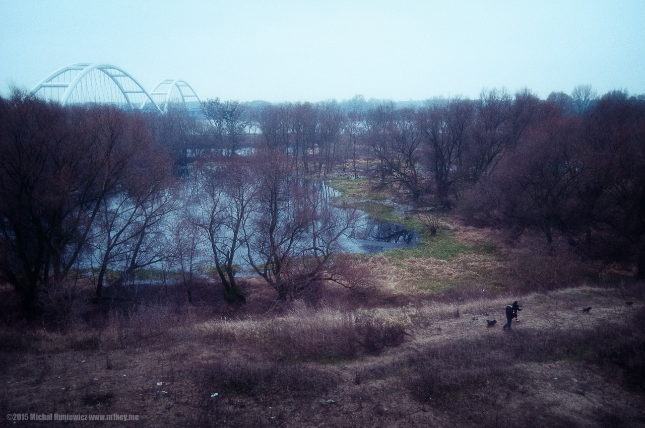 Time to Go Back Home