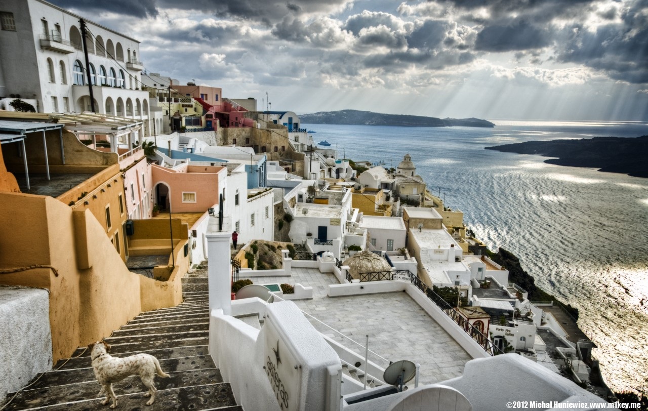 Dog - Postcards From Greece