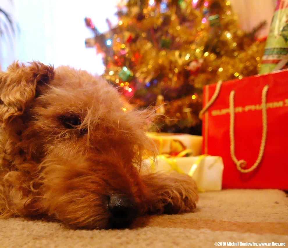 Guarding the gifts