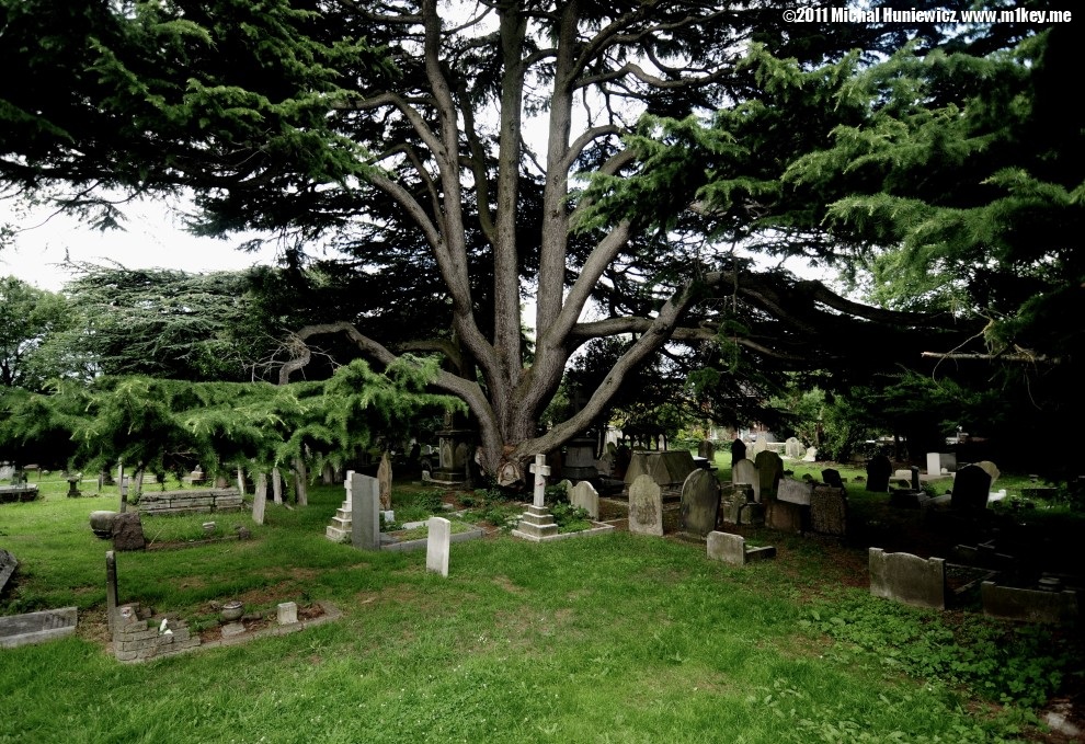 St Mary and Christ Graveyard